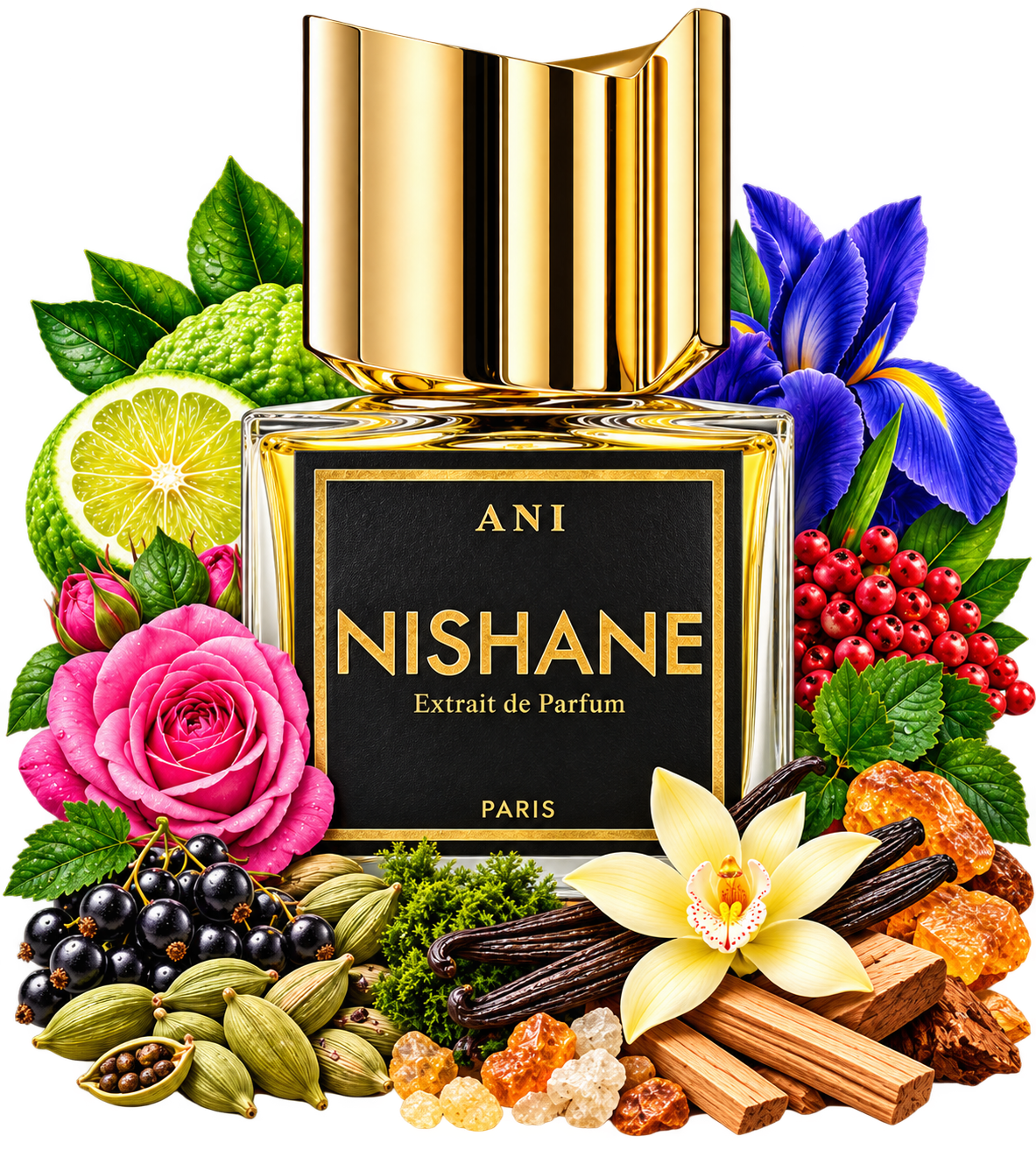 Nishane Ani Extrait de Parfum Duftprobe